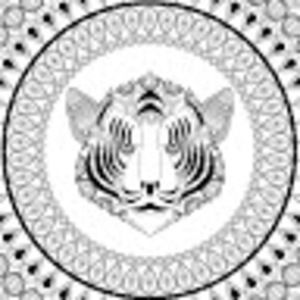 Meet your Posher, Anya